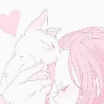 公司倒闭5只猫被法拍